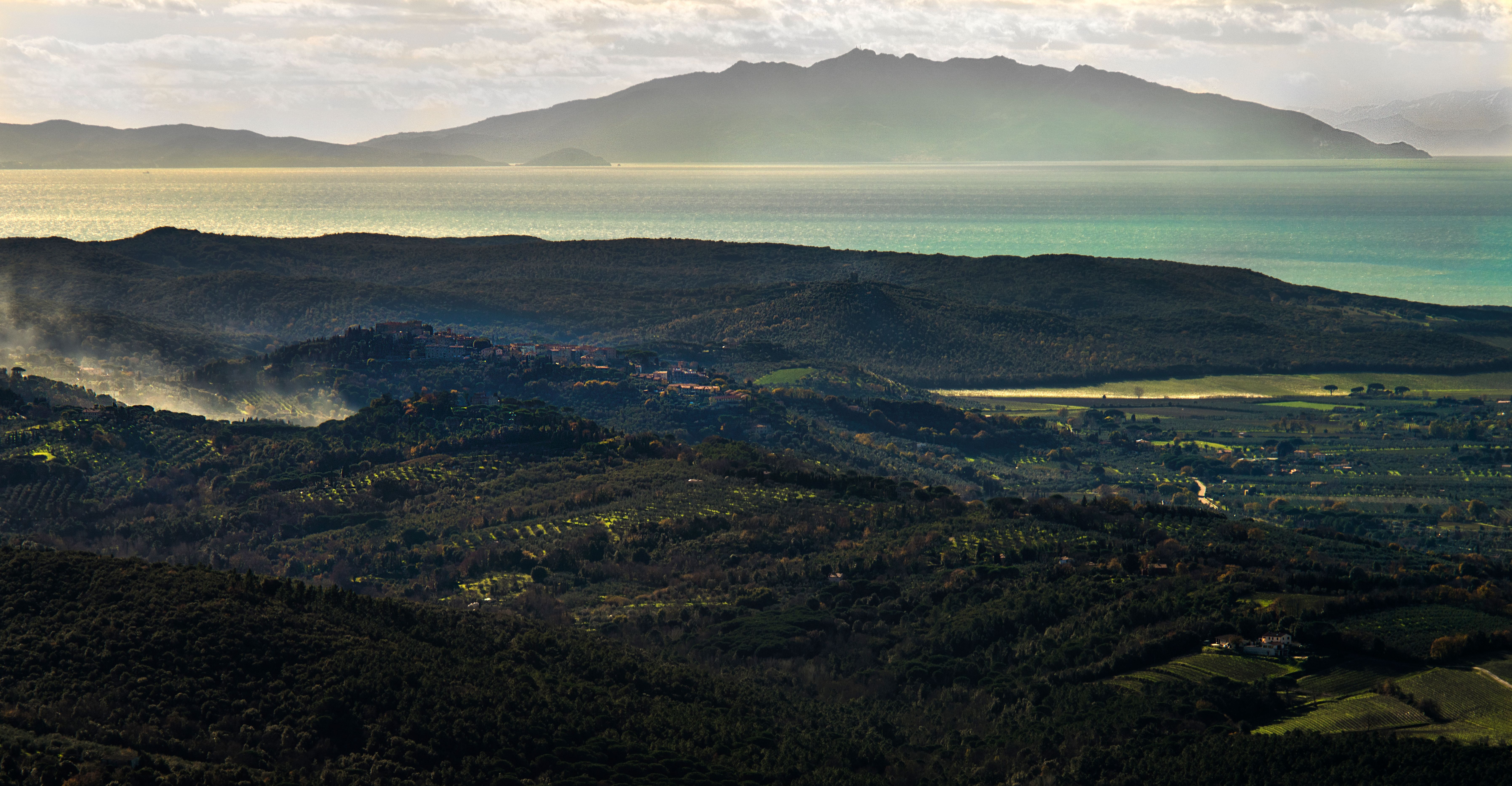 Territorio e vigneti di Bolgheri presso Tenuta San Guido